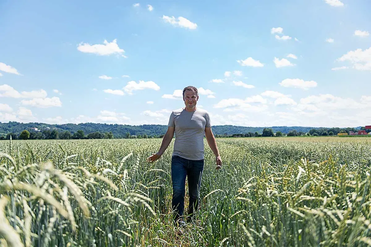 Landwirt Johannes Pock geht durch sein grünes Dinkelfeld unter blauem Himmel