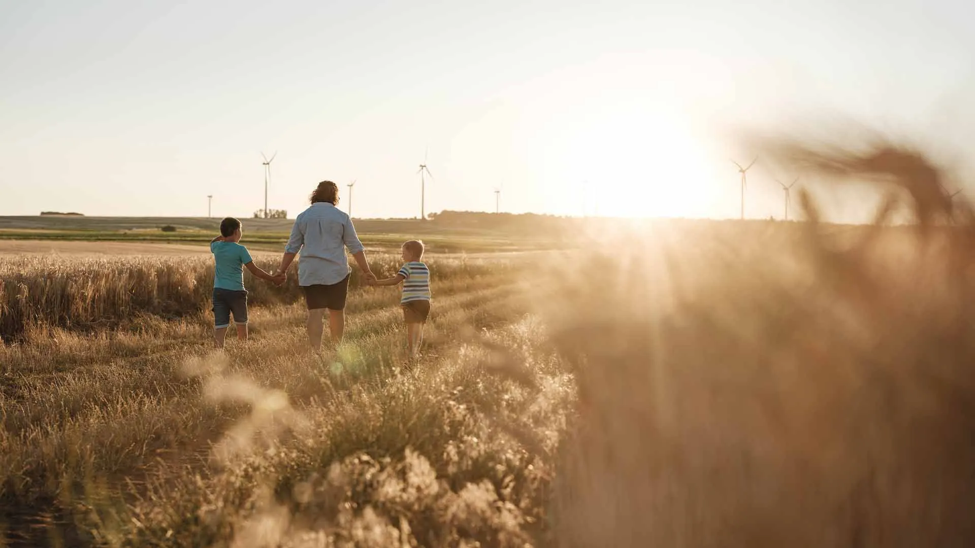 Frau geht mit zwei Kindern Hand in Hand durch ein Feld bei Sonnenuntergang