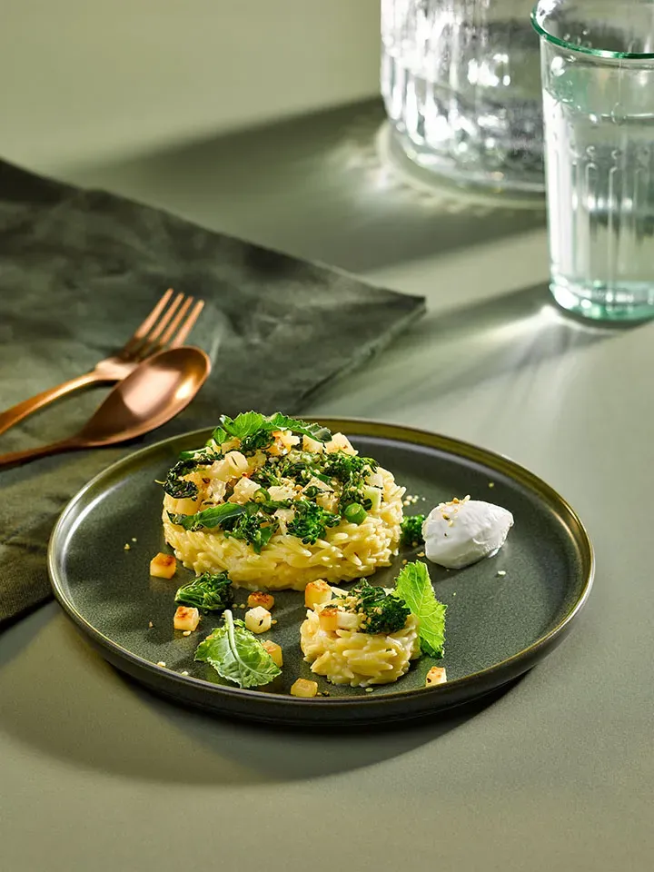 Risotto mit Brokkoli, künstlerisch angerichtet mit grünem Gemüse und einem Klecks Sauce auf Teller